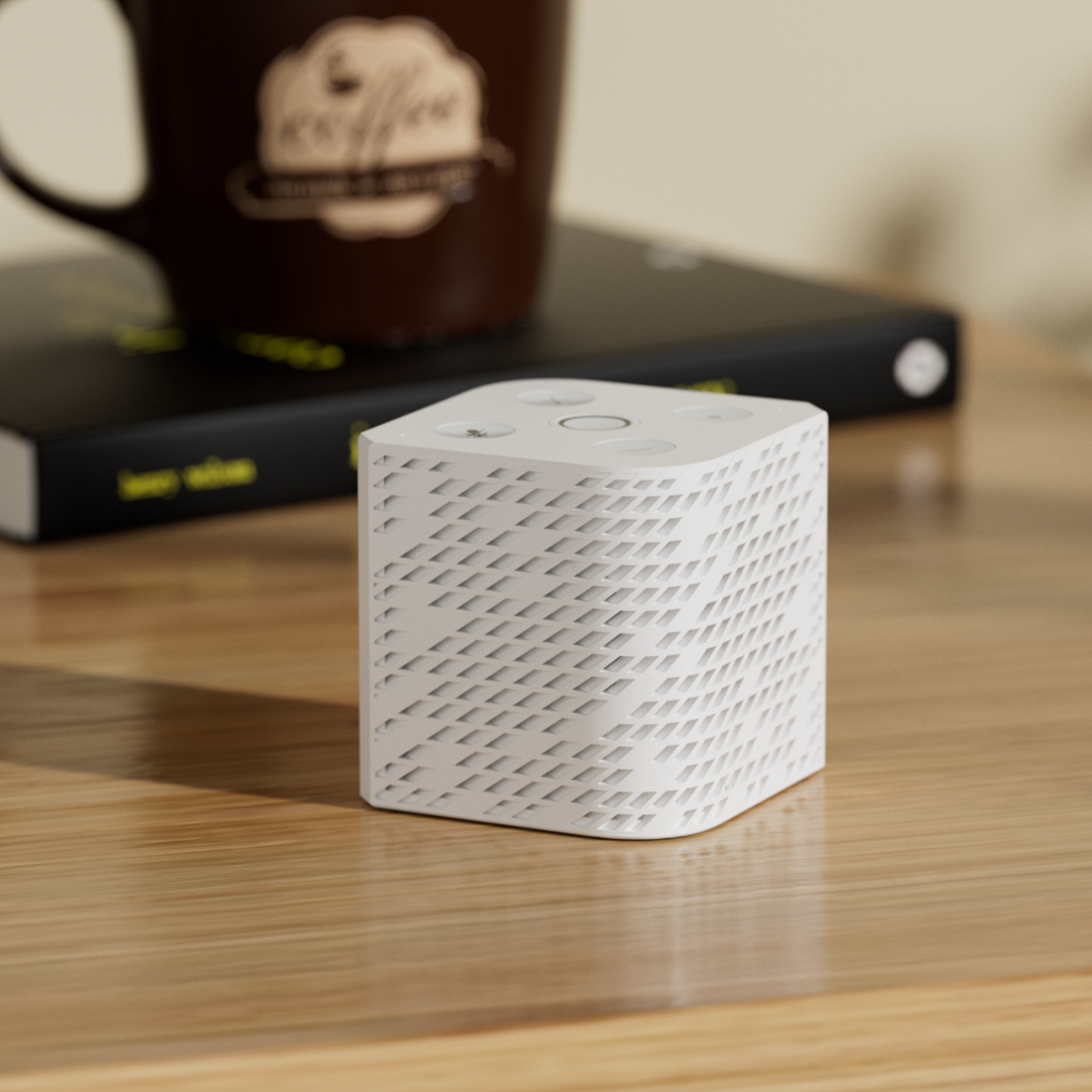 Voice and Music Assistant Dev Edition