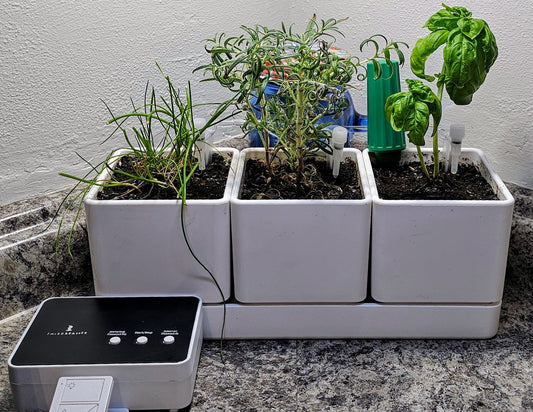 Smart Gardening This Spring: How This Dynamic Duo Saves Your Plants (And Your Time)