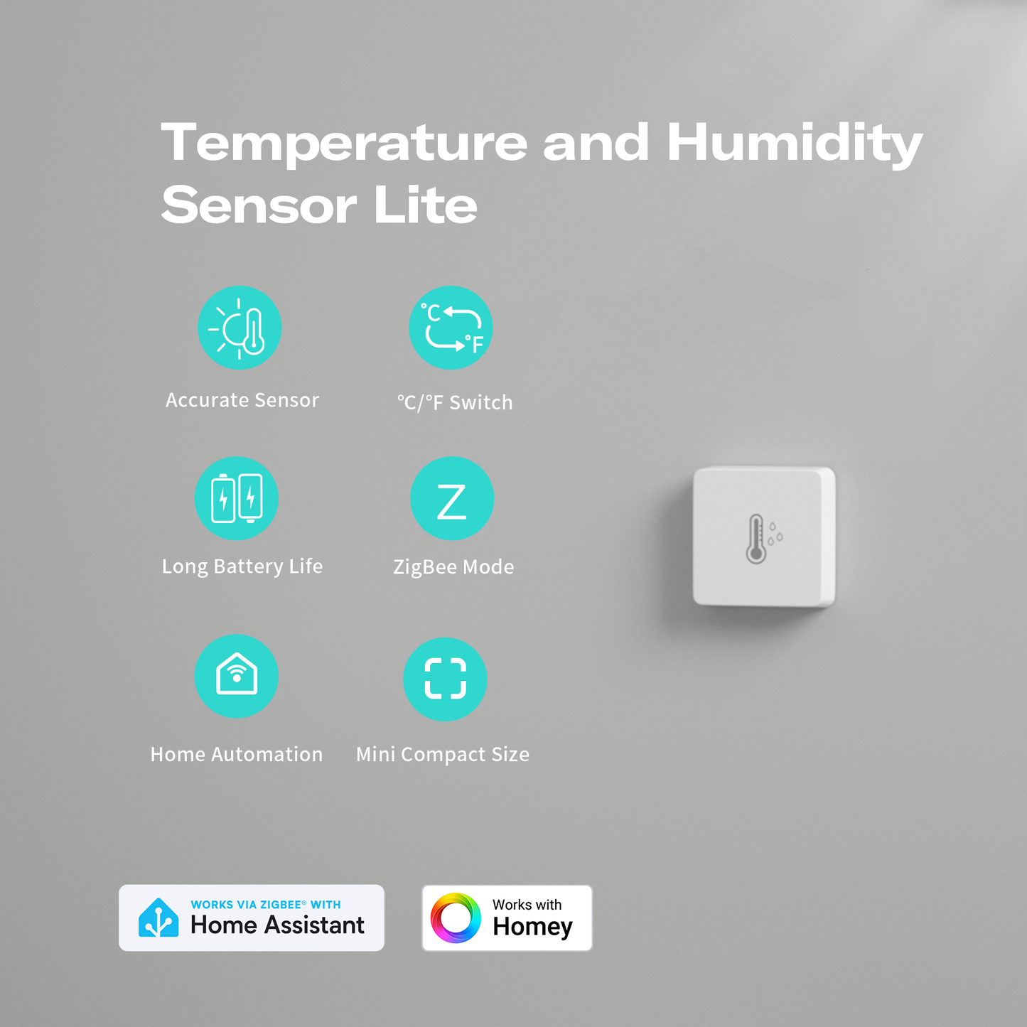 Temperature and Humidity Sensor Lite