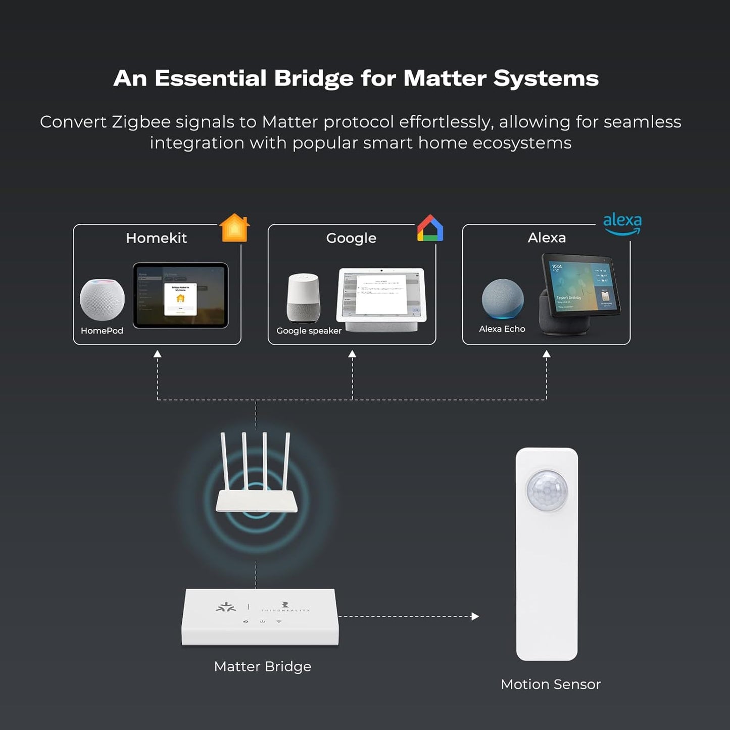 Motion Sensor