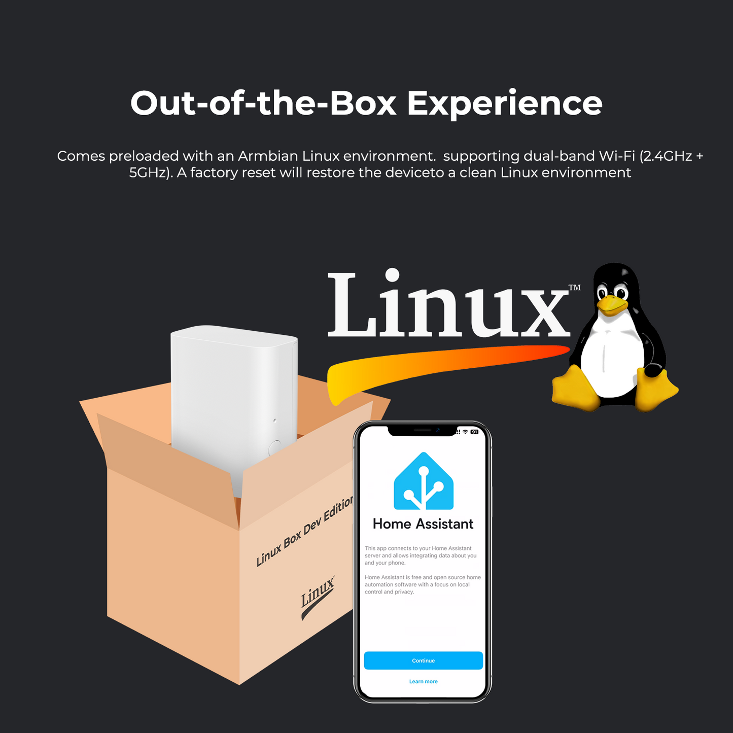 Linux Box Dev Edition