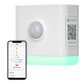 Smart Color Night Light